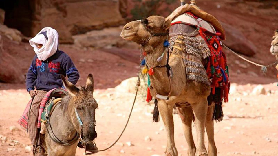Wie man sich in Jordanien begrüßt, kann man sich bei den Einheimischen abschauen - (Foto: ©Rosa Grasso-Solomon/Lonely Planet)