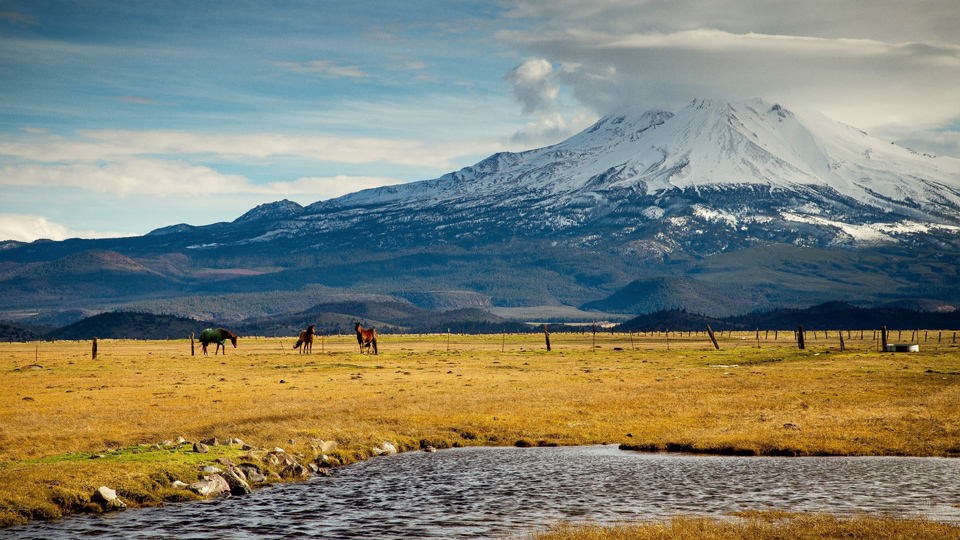 Der aus der Ebene ragende Berg Mount Shasta ist ein magisch schöner Ort - (Foto: ©Lilly Husbands/Getty Images)