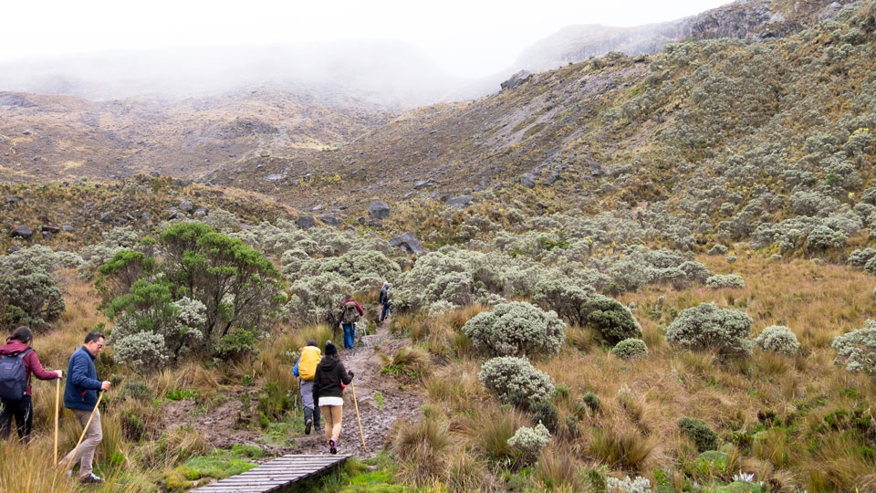 Aktivurlauber lieben es, durch den Parque Nacional Natural Los Nevados zu wandern - (Foto: © Antoine Barthelemy / Shutterstock)