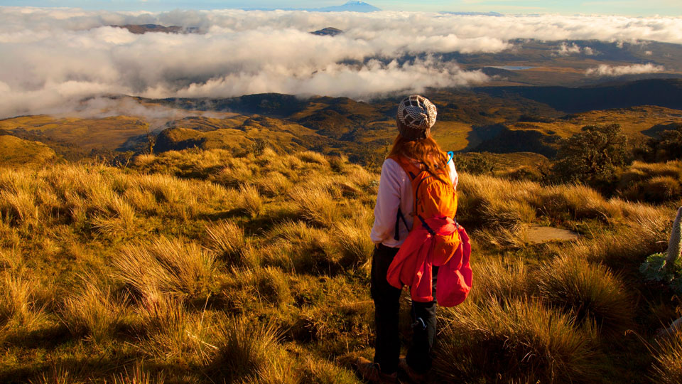 Kolumbiens Nationalparks bieten eine erstaunliche Vielfalt an Ökosystemen, wie die Vulkane und das karge Hochland-Paramo im Nationalpark Puracé - (Foto: © Guillermo Ossa / Shutterstock)