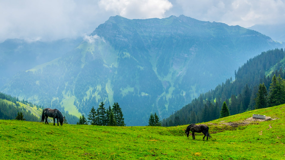 Der berühmte Fürstensteig ist für die Liechtensteiner eine fast mythische Passage - (Foto: © trabantos/Shutterstock)