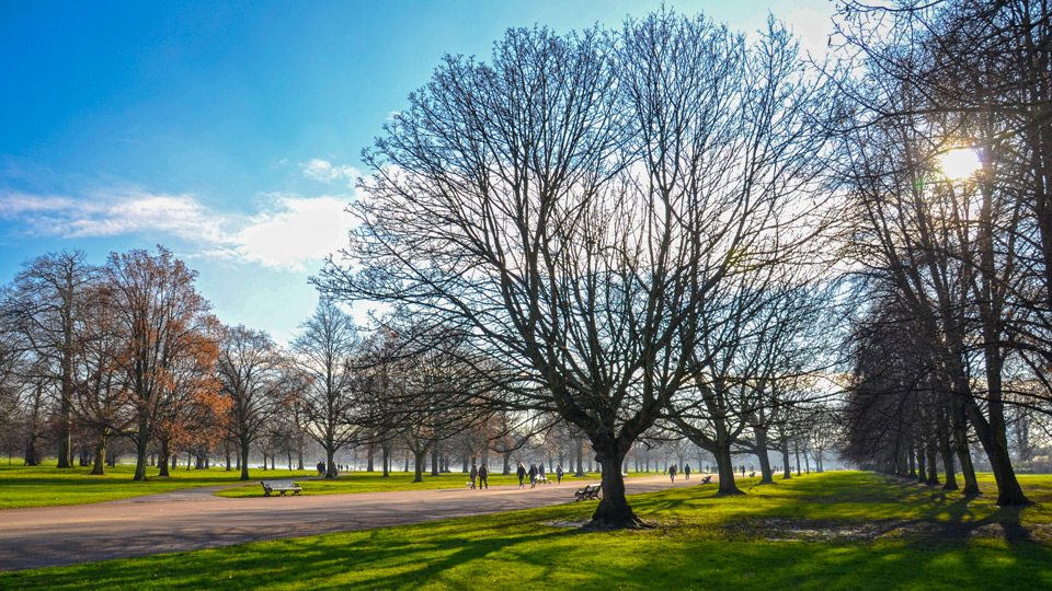 Die Kensington Gardens haben ihren Ursprung in einem Jagdrevier von Henry VIII  - (Foto: © Will Jones/Lonely Planet)