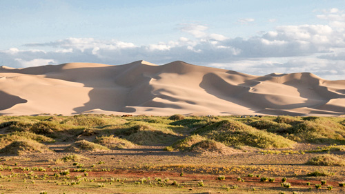 Sanddünen Chongoryn Els  - (Foto: ©TersinaShieh/istock.com)