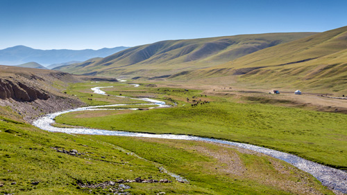 Der Fluss Orchon schlängelt sich durch das Orkhon Valley - (Foto: ©alex7021/istock.com)