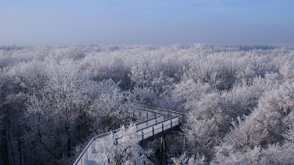 Baumkronenpfad im Winter -  (Quelle: KTL Kur und Tourismus Bad Langensalza GmbH)