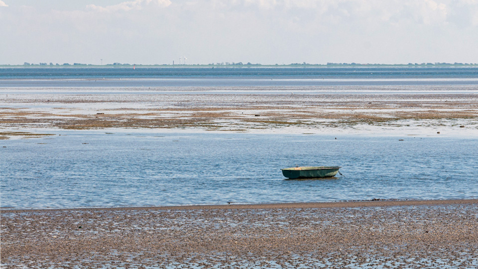 Winter im Wattenmeer auf der Hallig Langeneß -  (Foto: ©traumschoen/istock.com)