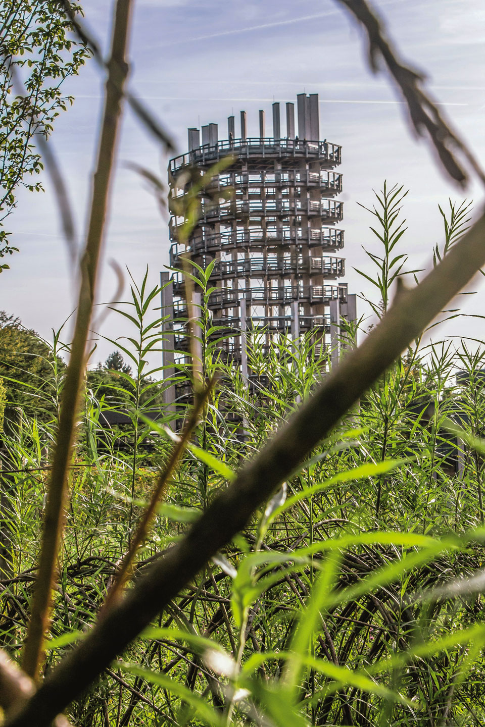 Organische Form trifft Industrial-Design – der Aussichtsturm im Naturerlebnispark Panabora - (Foto: Susanne Völler)