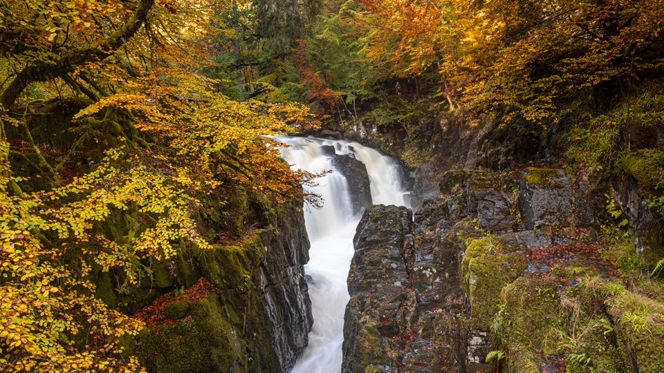 Der Wasserfall "Black Linn" auf der Wanderung in "The Hermitage" - © VisitScotland/Kenny Lam