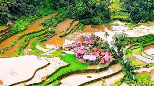 Imposanter Ausblick auf die  Reisterrassen von Banaue - (Foto: ©JoelBitantesPalma/Getty Royalty Free)