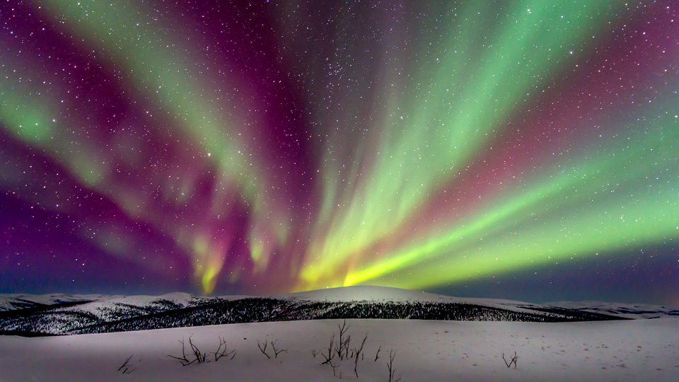 Nordlichter über Fairbanks, Alaska - (Foto: ©Dean Bailey/500px Royalty Free) 