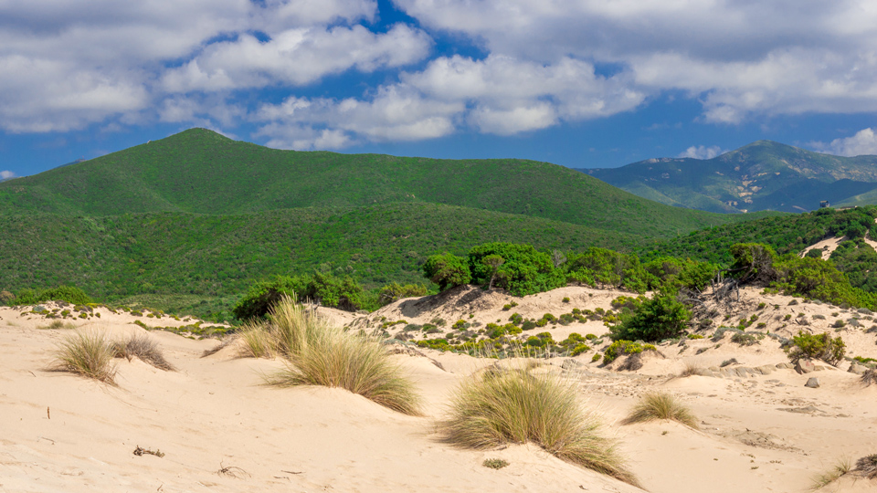 Die beeindruckenden Sanddünen entlang der Spiaggia di Piscinas dominieren die wilde Landschaft - (Foto: ©Emiliano Pane/Shutterstock)