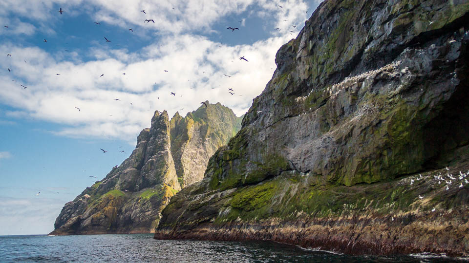 Die Klippen von Boreray, St Kilda - (Foto: Stephan Goldmann)