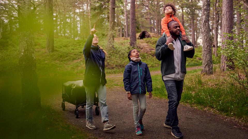 Schwedens Nationalparks sind ideal für Wanderungen mit der Familie und zum Lernen von Wissenswertem über die Natur - (Foto: © Maskot / Getty Images)