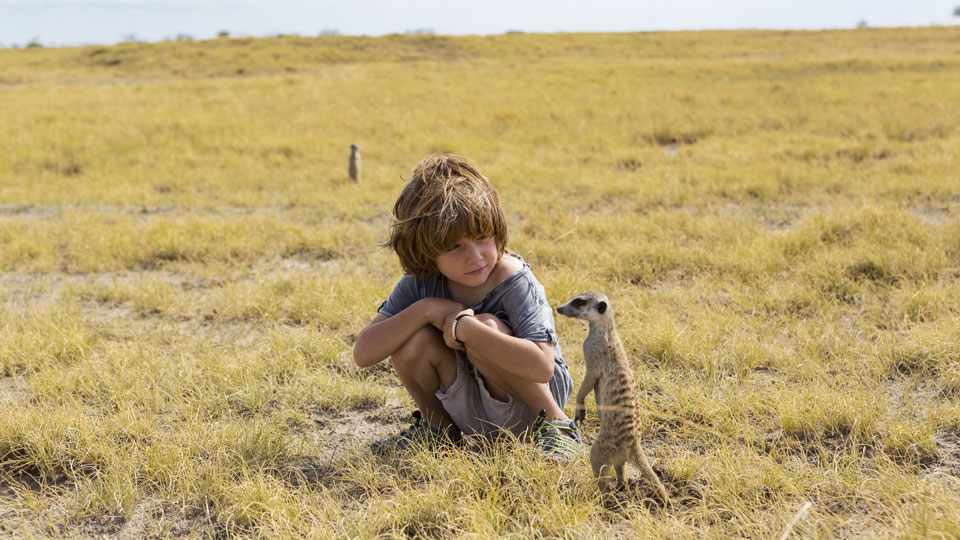 Wildtiere aus nächster Nähe zu erleben, ist bei allen Kindern sehr beliebt - (Fotos: © mint images / Getty Images)