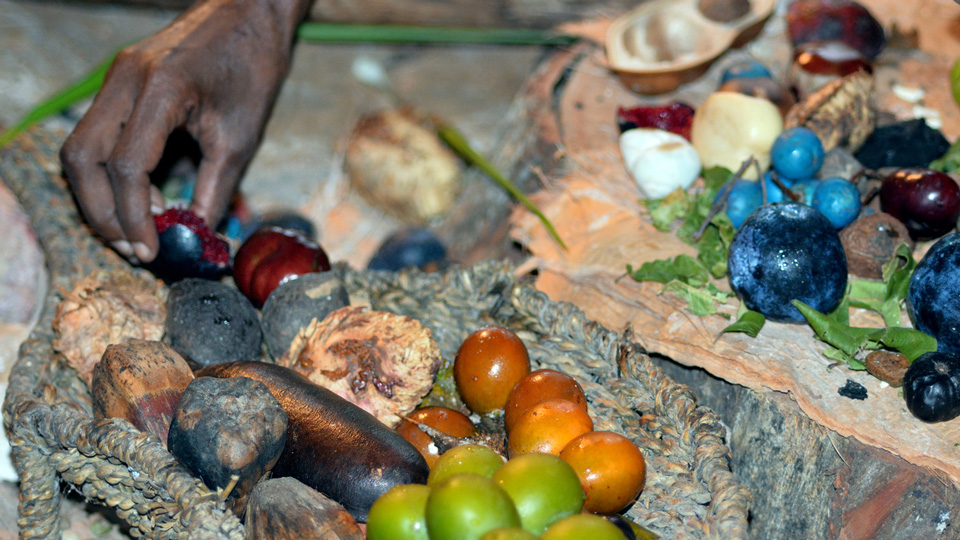 Die Aborigines wissen, was gesund ist - (Foto: ©chameleoneye/Istock.com)