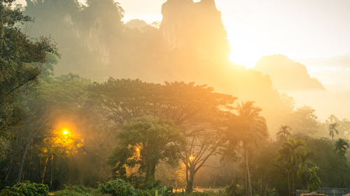 Berge des Khao Sok Nationalparks in Thailand - (Foto: ©ViewApart/iStock.com)