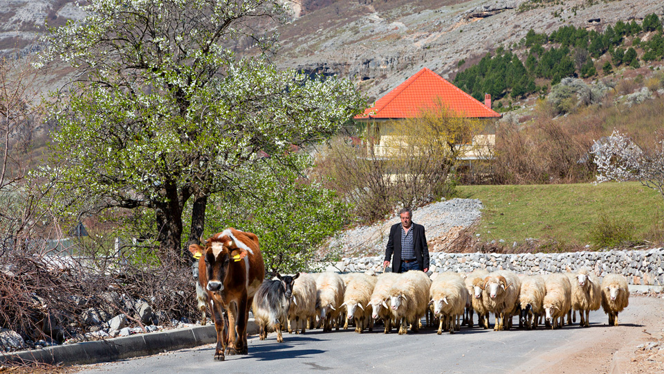 Slow Food ist zur Lebensphilosophie geworden: außerhalb Tiranas ist Albanien ursprünglich ländlich - (Foto: © Ozbalci/Istock.com)