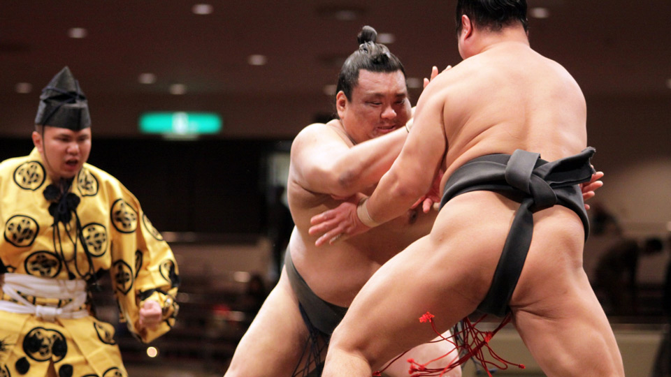 Einen Sumo-Ringkampf zu erleben gehört zum Frühlingsprogramm in Tokio unbedingt dazu - (Foto: © J. Henning Buchholz/Shutterstock)