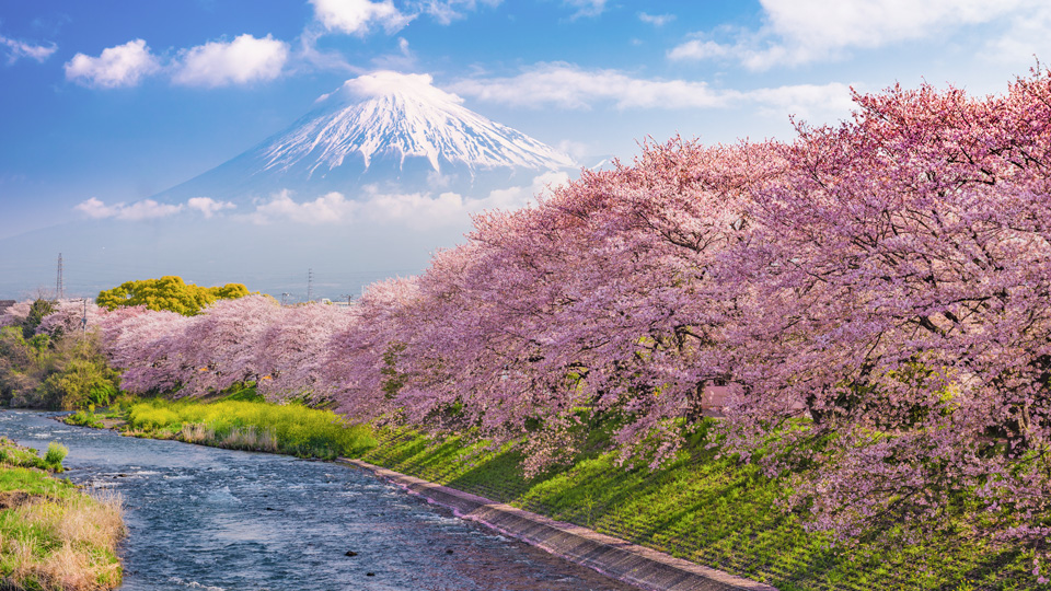 Faszinierende Aussicht auf den Berg Fuji - (Foto: ©Sean Pavone/Istock.com)