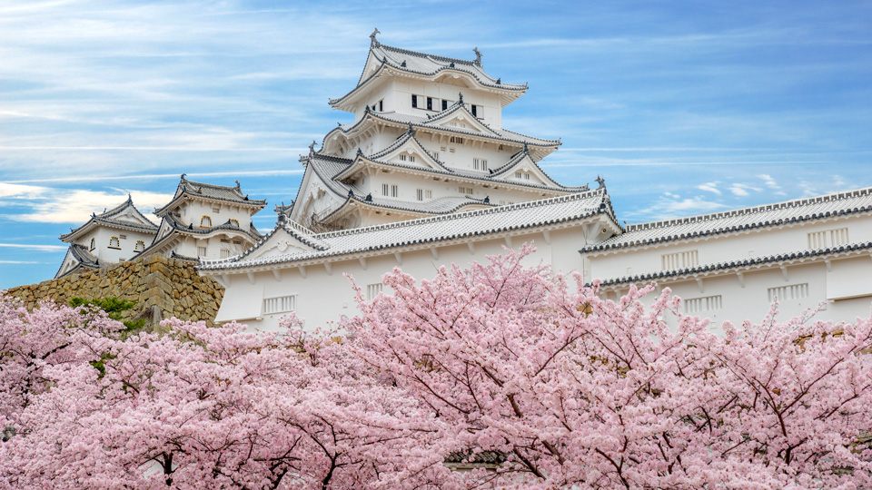 Kirschblütenfest rund um die Burg Himeji in Hygo - (Foto: ©ake1150sb/Istock.com)