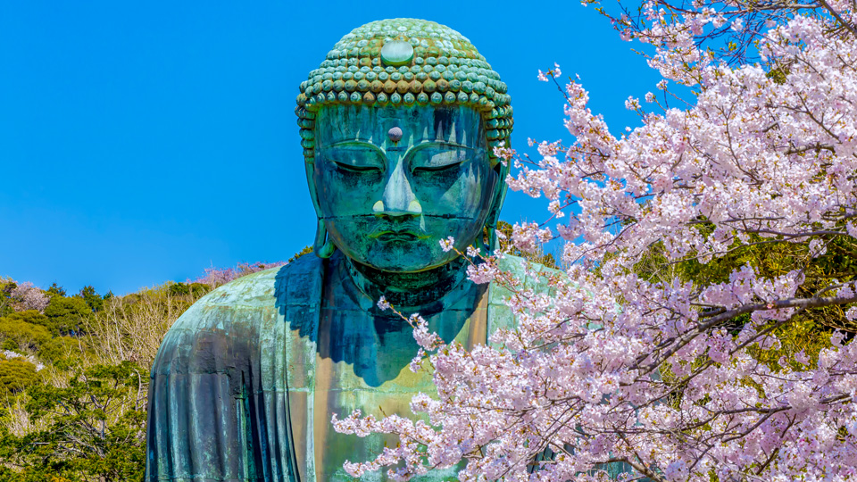 Der Daibutsu in Kamakura - (Foto: ©minokku/Istock.com)