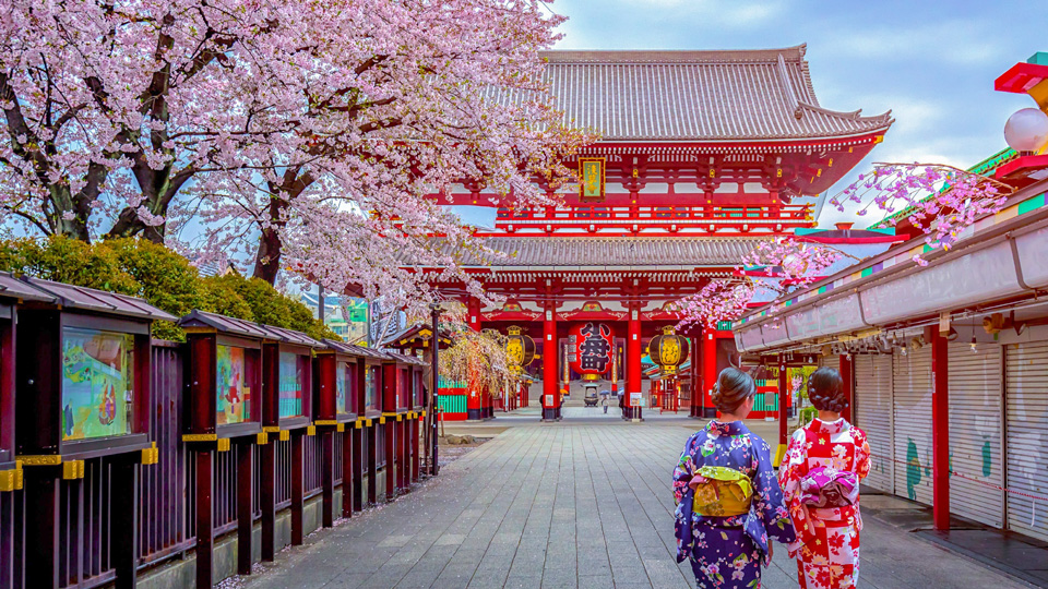 Zum Kirschblütenfest gehören auch festliche Kimonos mit Sakura-Motiven - im Sensoji Tempel, Asakusa, Tokyo - (Foto: ©Phattana Stock/Shutterstock)