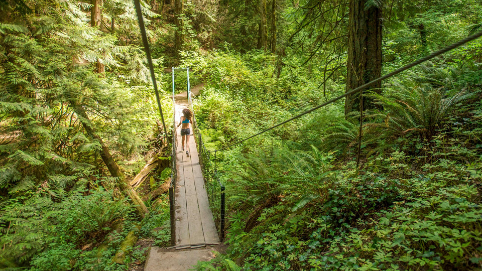 Herrlich joggt es sich auf den unzähligen Waldwegen rund um Portland - (Foto: ©Erik Isakson/Getty Images)