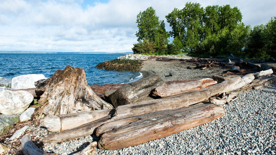 Im Myrtle Edwards Park in Seattle kann man wunderbar baden und paddeln - (Foto: ©Max Herman/Shutterstock)