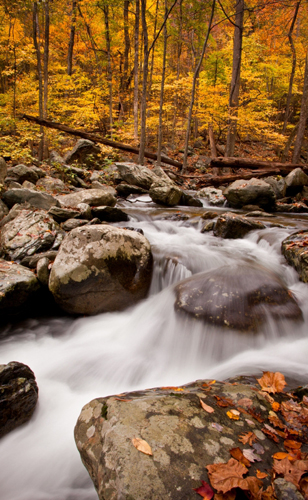 Shenandoah National Park Wasserfall - (Foto: @ Deb Snelson, Getty Images)