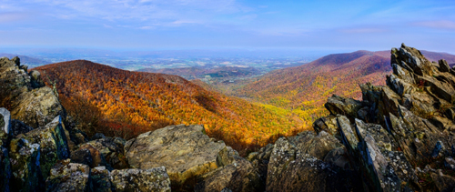 Shenandoah National Park Wald - (Foto: © OGphoto, Getty Images)