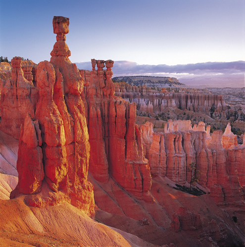 Stimmungsvolles Licht im Bryce Canyon National Park - (Foto: © Joe Cornish, Getty Images)