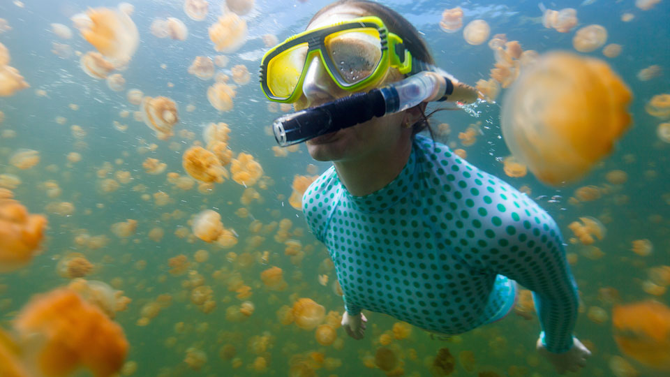 Wer gemeinsam mit einem Buddy schnorchelt, kann beeindruckende Momentaufnahmen des Annäherns von Mensch und Unterwasserlebewesen machen - (Foto: ©BlueOrange Studio/Shutterstock)