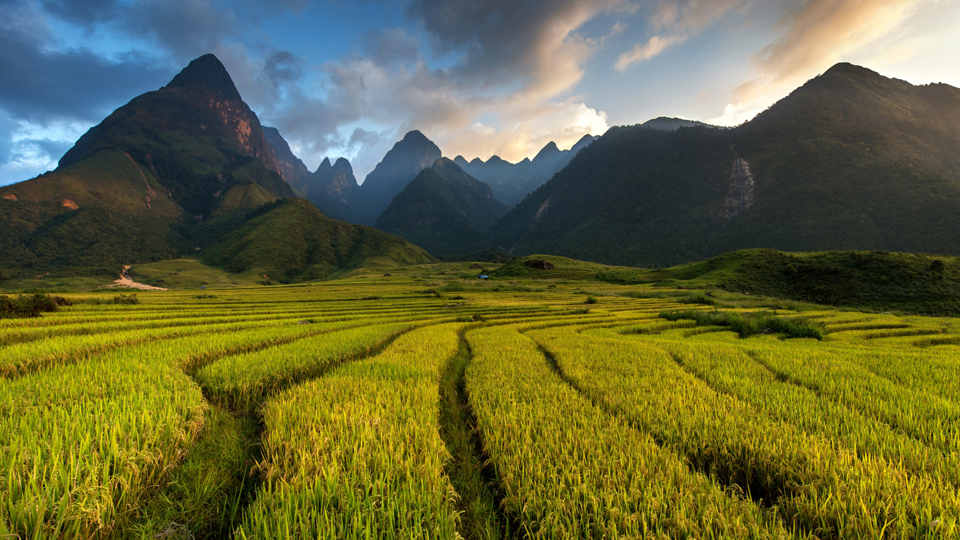 Endlos grüne Reisterrassen in der Provinz Lao Cai, nahe der chinesischen Grenze. Mit Bussen, Flügen und Zügen lässt sich Vietnam relativ einfach erkunden - (Foto: ©Sarawut Intarob/500px)