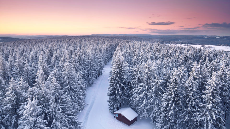 Epische Langlaufloipen führen quer über den Rennsteig im Thüringer Wald - dort, wo im Sommer Wanderer unterwegs sind - (Foto: Jenny Jung / Shutterstock)