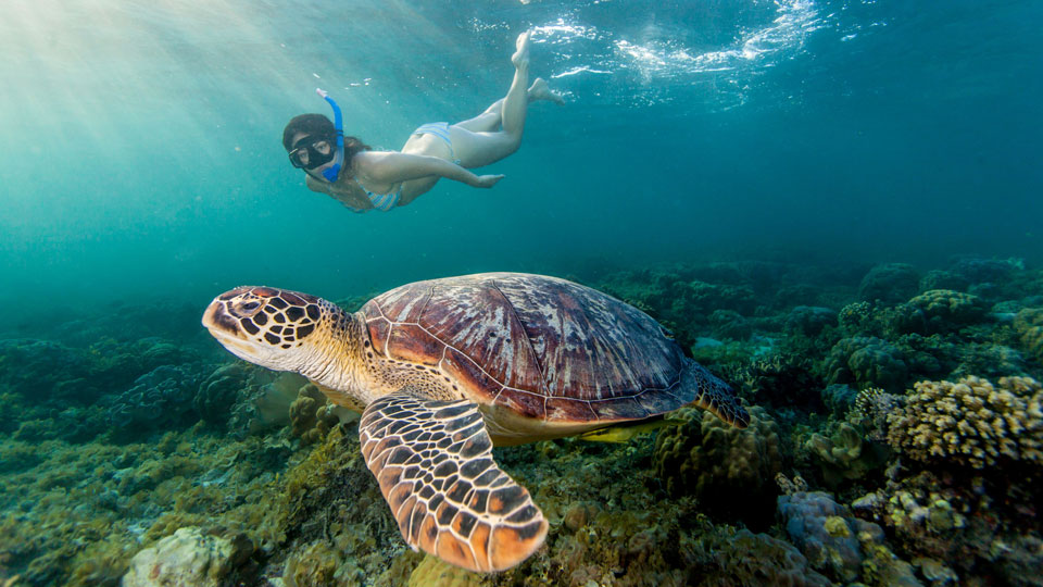Für eine unvergessliche Reise lohnt es sich, das Ziel entsprechend der Jahreszeit, oder noch genauer, nach dem perfekten Monat auszuwählen - (Foto: ©Steve Woods Photography / Getty Images)