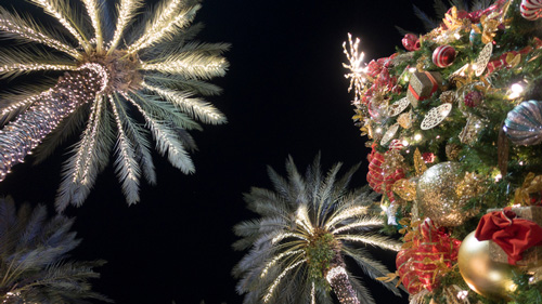 Weihnachten in Florida - (Foto: ©SEASTOCK/istock.com)