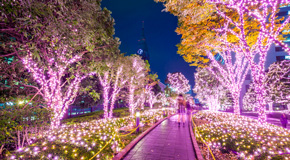 Winter-Beleuchtung in Tokyo in Shinjuku Bezirk - (Foto: ©Mustang_79/istock.com)
