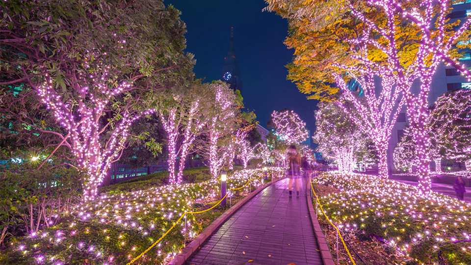 Winter-Beleuchtung in Tokyo im Shinjuku-Bezirk - (Foto: ©Mustang_79/istock.com)