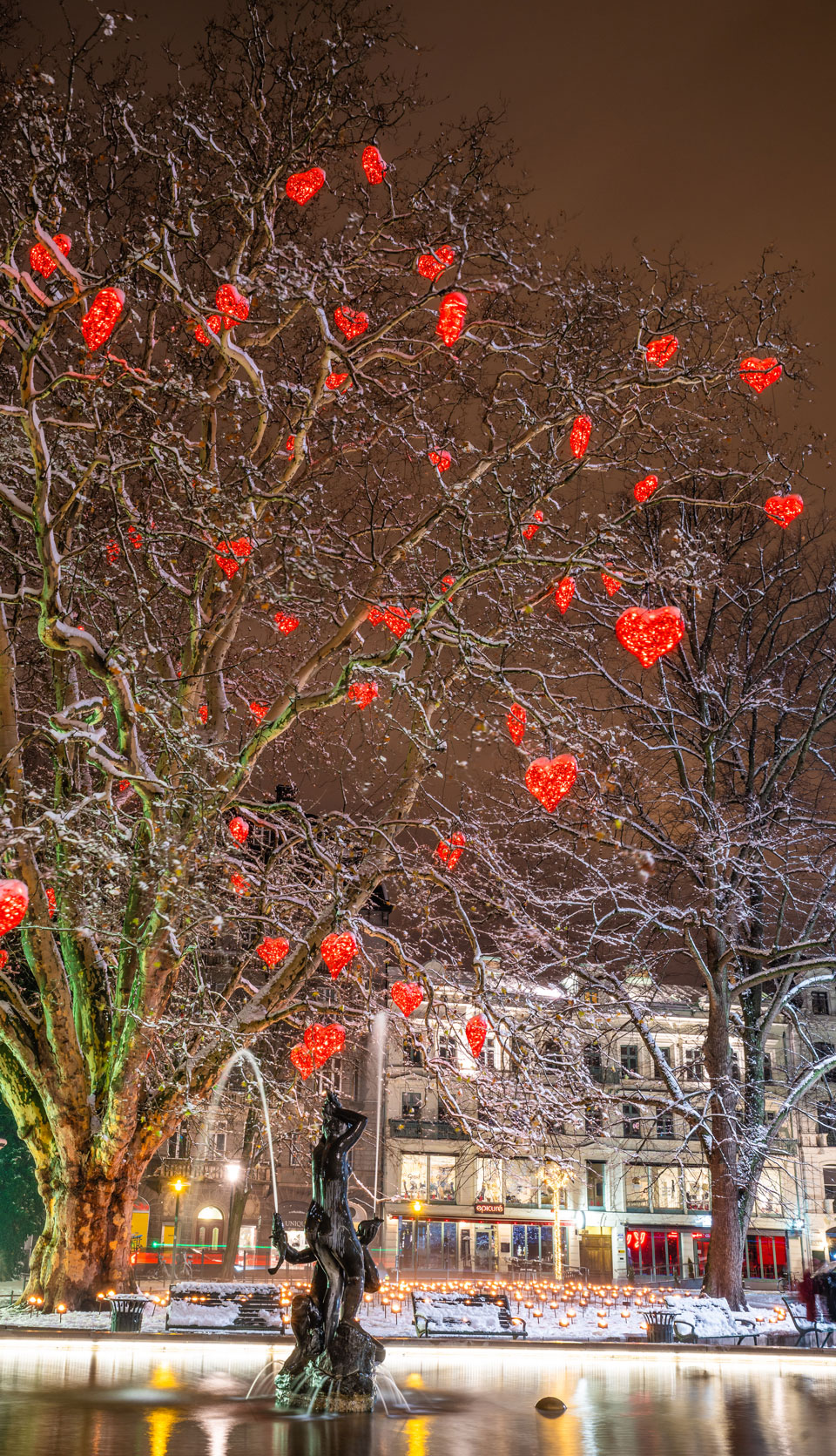 Der mit roten Herzen gefüllte Baum der Liebe steht in der Weihnachtszeit am Gustav Adolfstorg in Malmö - (Foto: © Shaggyphoto / Shutterstock)