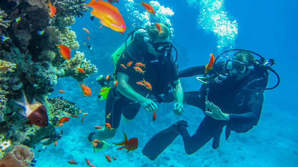 Warum nicht anderen helfen, den Sprung in die Unterwasserwelt zu wagen? - (Foto: ©Konoplytska/Istock.com)