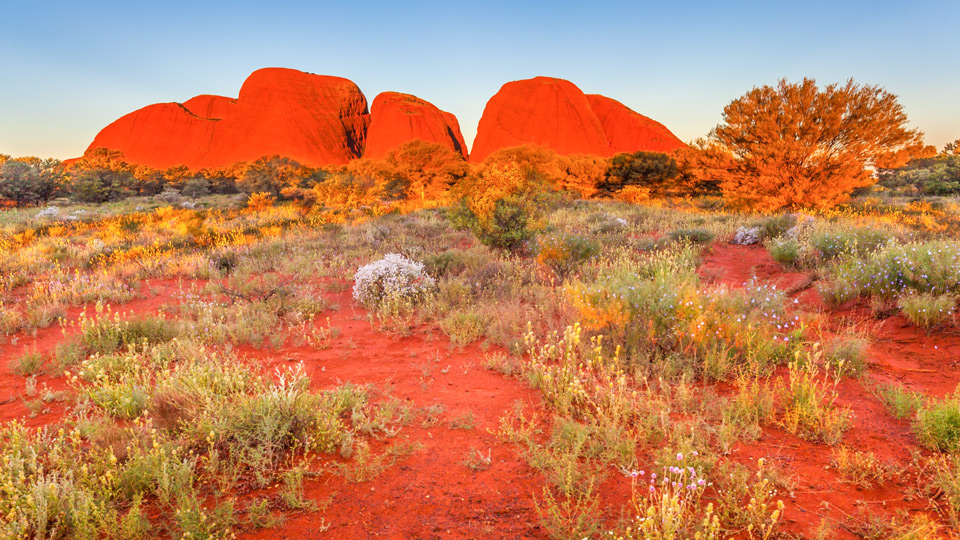 Sonnenaufgang am Kata Tjuta, Australien - (Foto:©Maurizio De Mattei/ Shutterstock) 