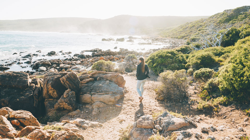 In der Region Margaret River findest du eine Mischung aus unglaublichen Weinbergen und wunderschönen Surfstränden – (Foto: © John Crux Photography / Getty Images)