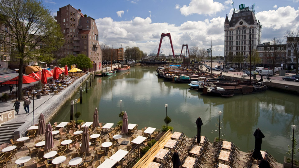 Im Rotterdamer Hafen gibt es einen schwimmenden Bauernhof mit 32 Milchkühen - (Foto: © Ellen van Bodegom/Getty Images)