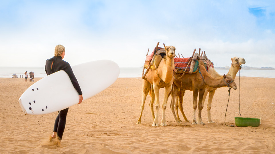 Die sensationelle Brandung vor der Küste von Essaouira lockt zahlreiche Windsurfer an - (Foto: ©Matej Kastelic/500px)