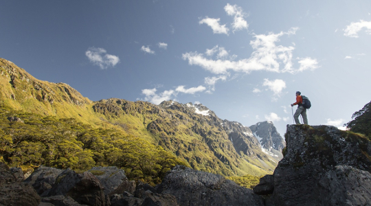 Aussicht Routeburn Track