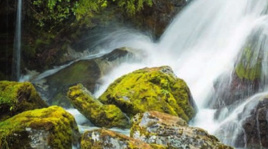 Wasserfall Routeburn Track