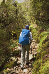 Wanderer Routeburn Track