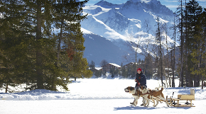 © Matt Munro Photography