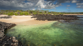 © Philipp Lee Harvey