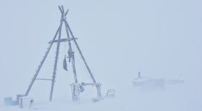 Die Schlittenhunde werden traditionell mit getrocknetem Seehundfleisch gefüttert. © Jonathan Gregson